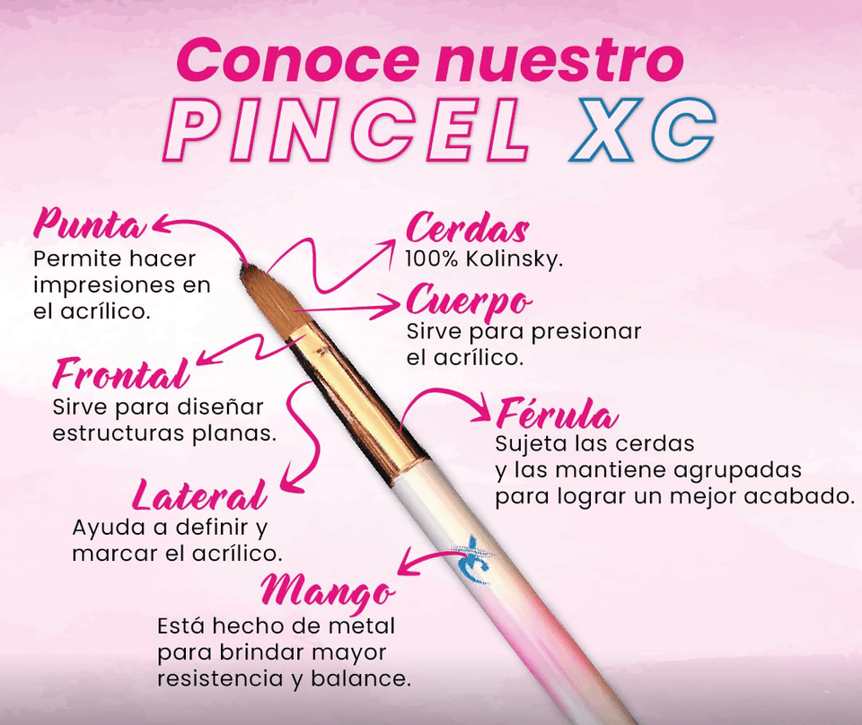 Pincel XC XC Supply